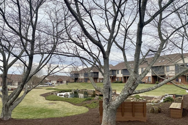View from porch - Forest Apartment