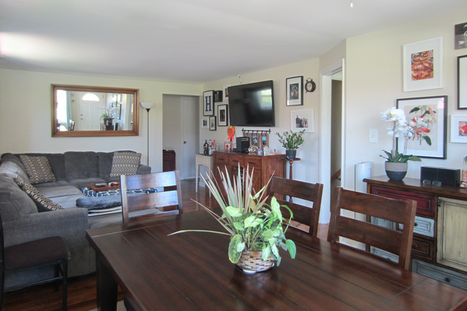 Living room - Room In a quiet house less than a mile from campus