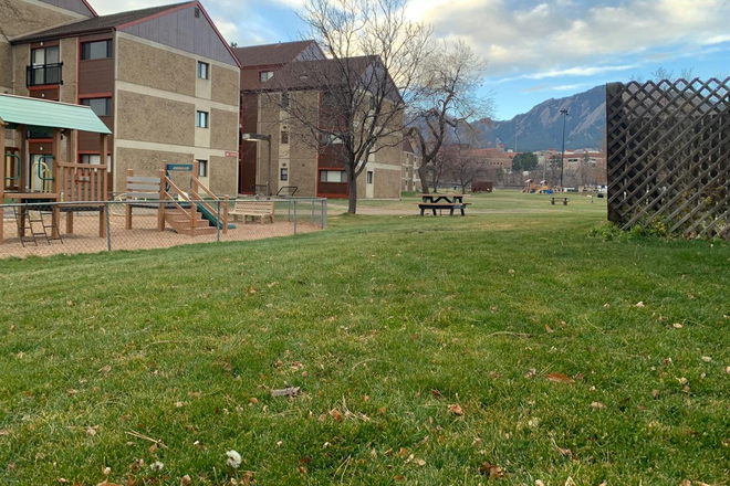 Backyard view - Newton Court- 1 Bedroom available for female graduate student Apartments