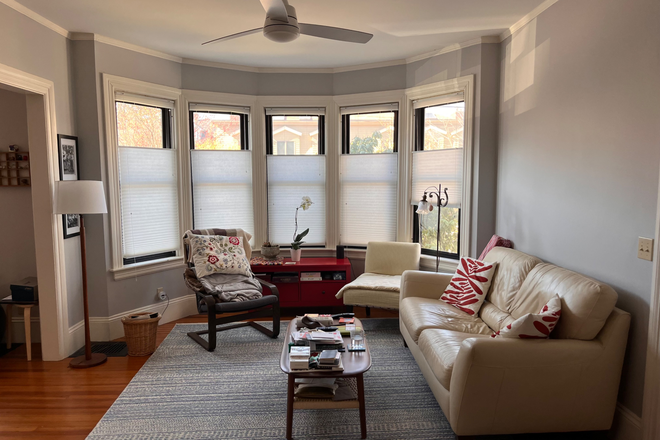 Living room - Bright, 2-bed Apt. in Owner Occupied Home