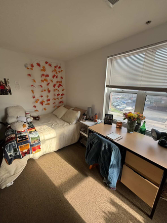 Bedroom - South Campus Commons 3 Spring Sublet Apartments
