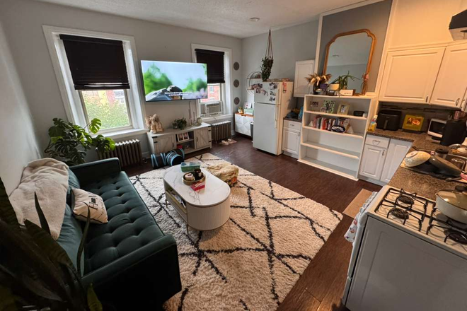 Living room - Large two bedroom in Art Museum area