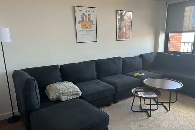 Living Room - SFP Soldiers Field Park Apartments