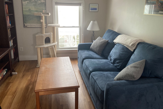 Living Room - 1 bedroom Apartment close to downtown