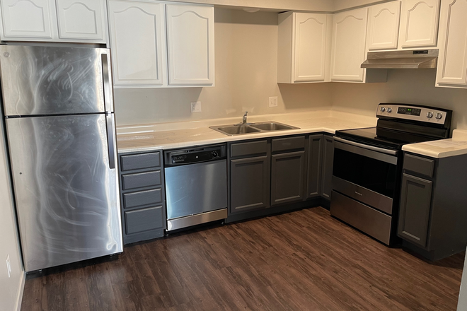 Y - 923 E College Steet - Walk to Campus Apartments