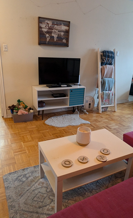 Living Room - Furnished Large Studio Apartment - steps to campus and St George Subway station. Includes Hydro.