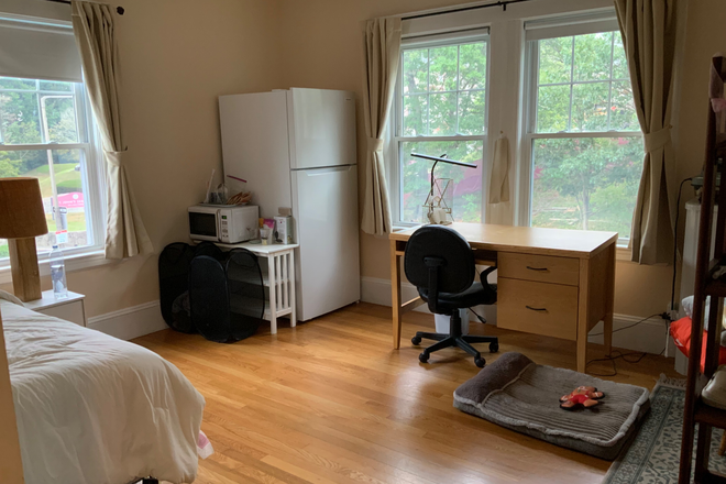 Room with full size refrigerator - Dog lover for large, sunny room near BC in music professor’s house