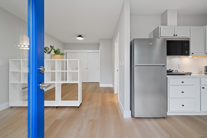 Living room and bed area - Studio Apartment in Woodlawn