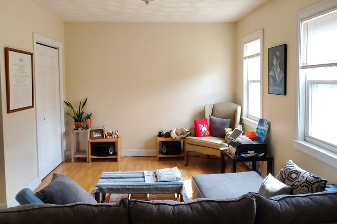 Living Room - Fully Furnished Summer Sublet (Available July 1-31) 1 Bedroom, 2 Offices, Backyard House