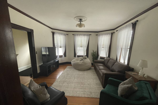 Living room - 1 room available in spacious 3bd apartment near Davis Sq with friendly roommates