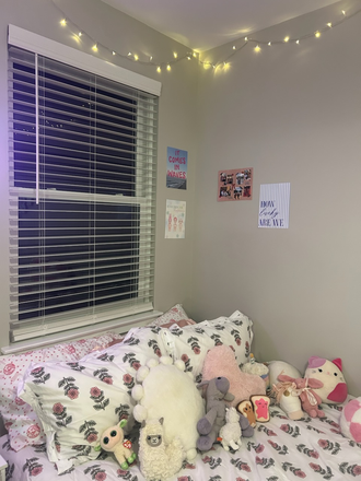 bed and window - SPRING Semester room for rent, Governor's Apartments on North Henry Street, close to campus!