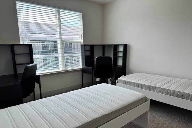 Master Bedroom - Furnished Rooms for Students- Perfect for international students!