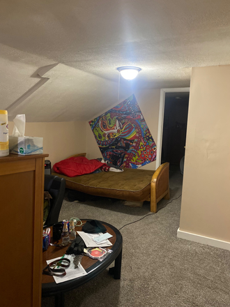 Bedroom - 1637 E 118-Excel location by Euclid Ave.-walk to CWRU, CIM, CAI, University Hospital Triplex