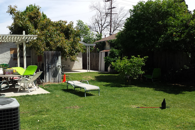 Rear yard showing covered patio - 388 Shaffer - Student Housing House