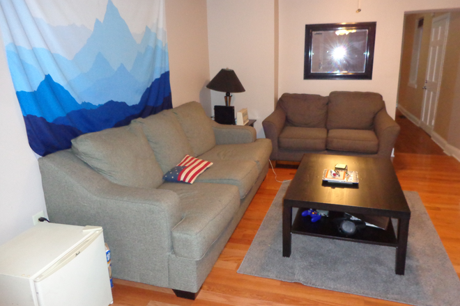 Living Room - Fully Furnished 5BR, 2.5 Bath with Off-Street Parking in Manayunk Townhome