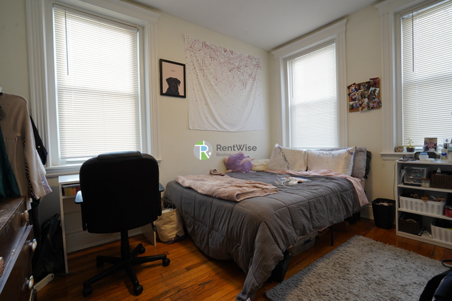 1 - JULY 2025-Awesome Allston 2 bed split, H/HW inc. Cat ok. Easy MBTA Apartments