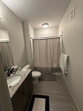 Bathroom - 114 Earle - Centrally located apartment off College Avenue