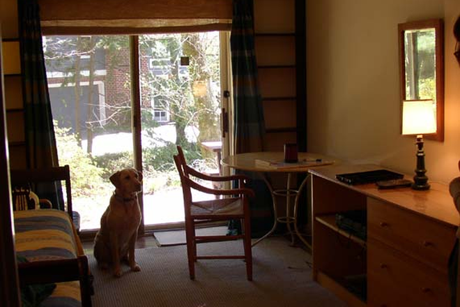 Bedroom | View #2 - CHEERFUL ROOM IN UPSCALE HOME with PRIVATE BATH.
