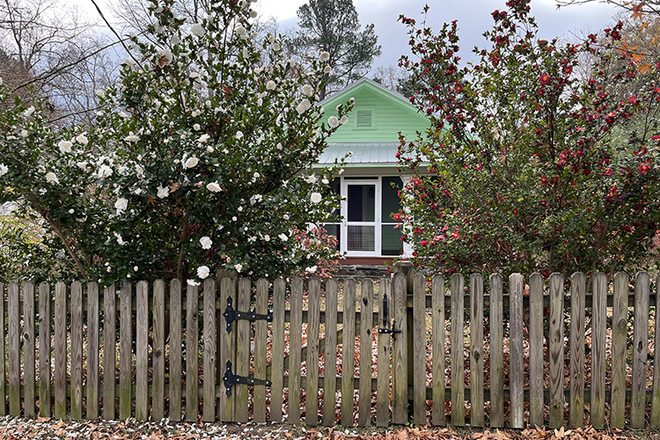 Front of House - The Plant and Book House