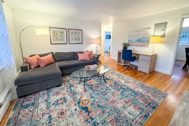 Living Room - CHE916 |  Sun-filled 2BR, In-Unit Laundry, Near T & Medical Area Apartments