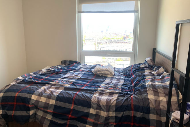 Bedroom - Lightview 1 bedroom summer 2026 re-let, 4 bedroom 2 bathroom unit