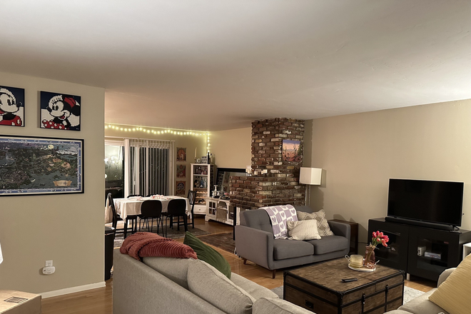 Welcoming living room and dining room area. - Spacious home, Walking distance to campus and Old Towne! See pics on Zillow.