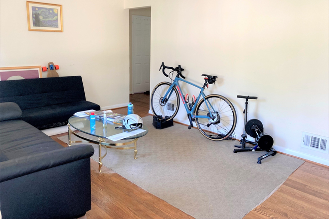 Living Room - 3 Rooms Available in Grad Student House near UMD/Lidl/Lake Artemesia