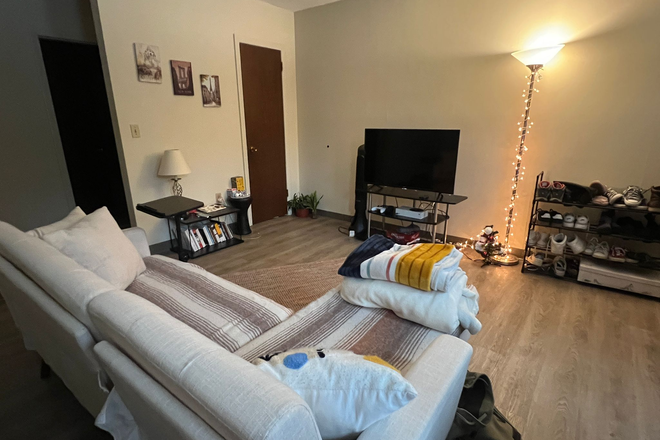 living room - Spacious 1-bedrom apt, summer sublet