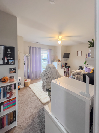 Bedroom - Spacious 3 Bed 2 Bath With Plethora of Natural Lighting Apartments