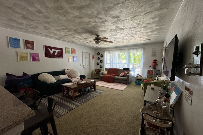 Living room area - Collegiate Suites! Great location + 3 lovely roommates! Apartments