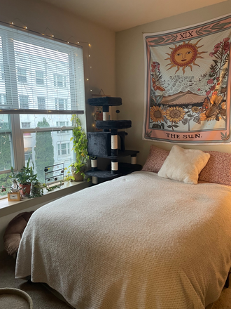 Bedroom - The Hayward Student Living Apartments