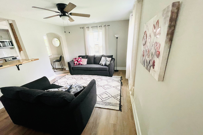 Open living room with natural light - Room for rent near Med school & Wake downtown