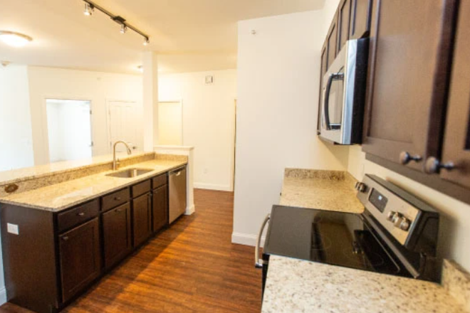 Kitchen - Roommate Opportunity - 2 bedroom apartment close to campus