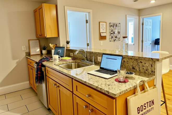 1 - Student Village Area Brookline Condo Off Campus for rent 9/1/26-Renovated Great Location