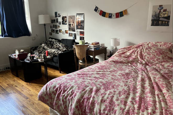 Bedroom/living room - Beautiful East Village Studio Apartment for July 1-August 25 Sublet