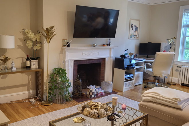 Living Room - 16 Chauncy / Spacious, updated 1-br condo near Harvard Law School