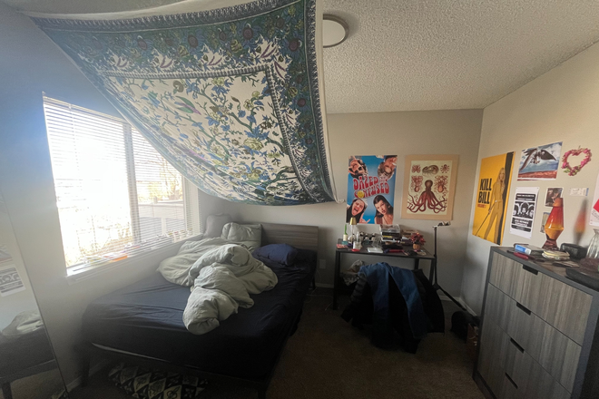 Bedroom - Looking for someone to take over my lease - 1 bedroom 2026/27 Apartments