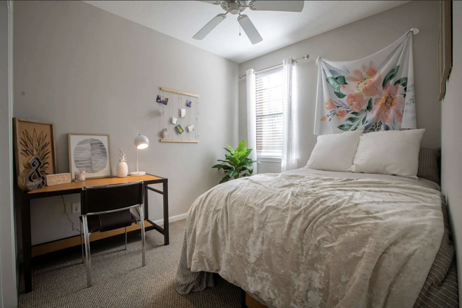 room - Alight, close to campus