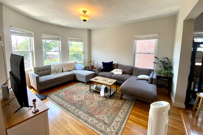 living room - HUGE 4 Bed / 2 Bath w/ LAUNDRY IN UNIT!! Avail. 9/1/26!!