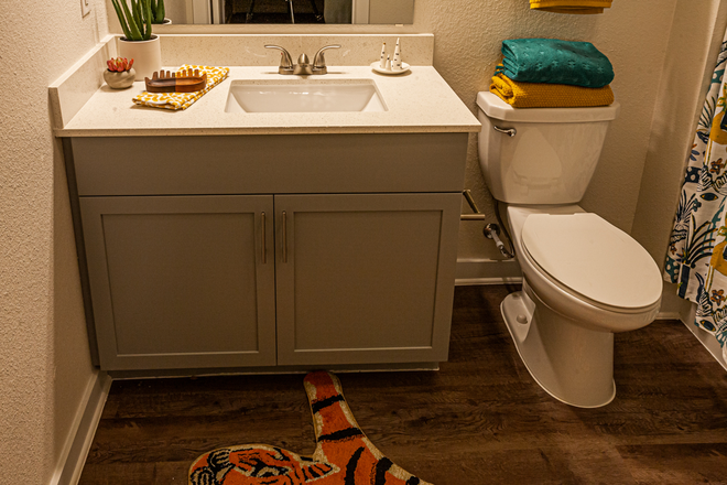 Bathroom - Aspen Heights Apt., 2 MONTHS FREE/Sublease/Male Only