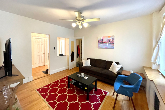 Living Room - Cleveland Circle! 2 bed available September 1! Condo