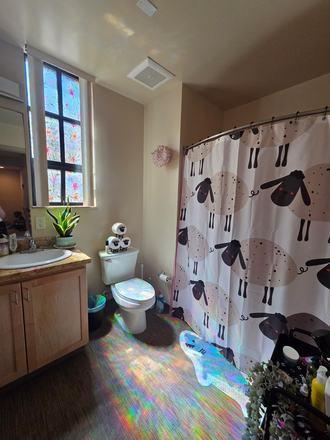 Bathroom - Southside Apartment Sublet, 2 Bed/2Bath