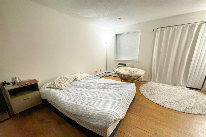 apartment - BU/Allston/studio Apartments