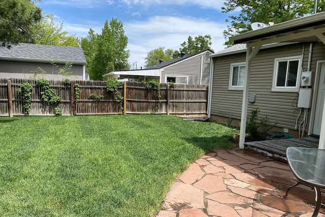 Backyard - 4 Bed 2 bath. 1 room available. House