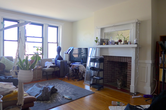 bostonrealtyonline.com - Light and Lofty Brighton Four Bed Right on B Line