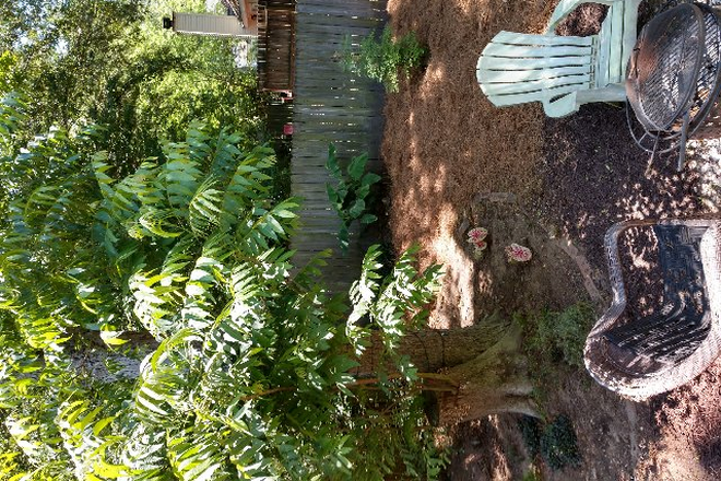 Yard - Close to MUSC and CofC