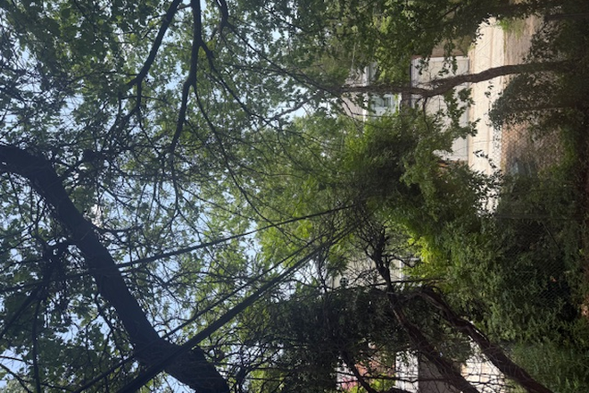 Huge yard, parking for 4-5 cars. - 7-Bedroom 3-Bath Huge Wide Front-Porch House between Georgetown University and American University!