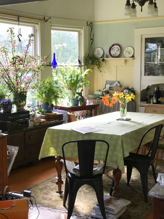 Living room - Large Sunny Room in Victorian with Garden in Central Berkeley