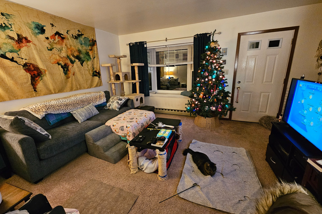 Living room - One Bedroom Available in Townhouse