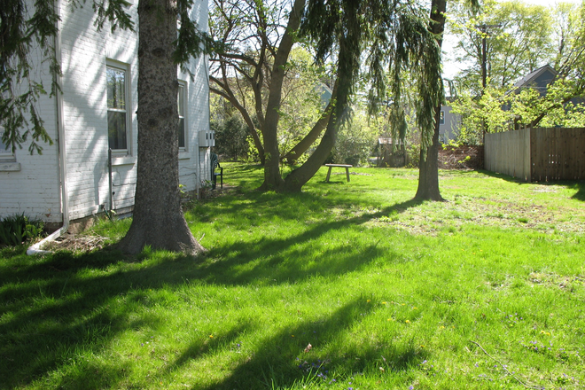 Side yard - True Old West Side light filled 1 bedroom Includes Utilities on large park-like lot: Avail 8/15 Apartments